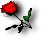 Roza.png