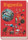 Logo Bigpedii.png