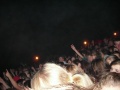 Wakacjonalia2011-ndz-37.JPG