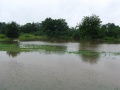 Powodz2011-2.JPG
