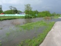 Jezowka2010-24.JPG