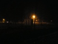 ParkJezowe-14.11.2011-15.JPG