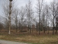 ParkJezowe2-2.4.2011.JPG