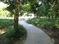 Parkjezowe4.6.2011-7.JPG