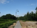 ParkJezowe2011.07.12-4.JPG