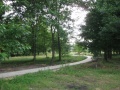 Parkjezowe2011.06.25-1.JPG