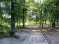 ParkJezowe2011.07.12-9.JPG