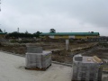 BiedronkaJezowe2012.9.3-5.JPG