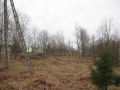 ParkJezowe10-2.4.2011.JPG
