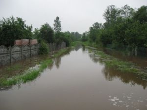 JezowePowodz2010-4.JPG