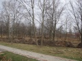 ParkJezowe3-2.4.2011.JPG