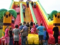 PiknikChG2012-17.JPG