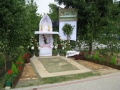 BC2013-NNMP5.JPG