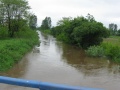 Jezowka2010-13.JPG