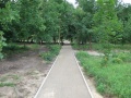 Parkjezowe2011.06.25-10.JPG