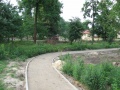 Parkjezowe2011.06.25-5.JPG