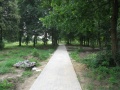 Parkjezowe2011.06.25-7.JPG