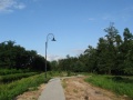 ParkJezowe2011.07.12-5.JPG