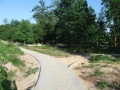 Parkjezowe4.6.2011-3.JPG