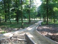 Parkjezowe4.6.2011-6.JPG