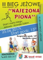 Najeżona Piona
