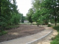 Parkjezowe2011.06.25-6.JPG