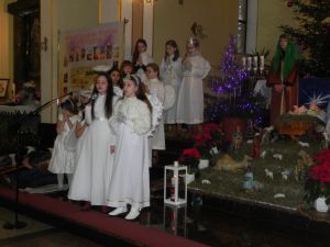 JaselkaCholewianaGora10.1.2016-1.JPG