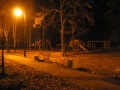 ParkJezowe-14.11.2011-13.JPG