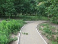 Parkjezowe2011.06.25-9.JPG
