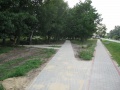 Parkjezowe2011.06.25-4.JPG