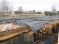 Most16.1.2011-1.jpg