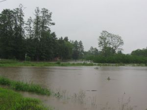 JezowePowodz2010-25.JPG
