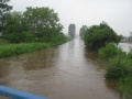 JezowePowodz2010-12.JPG