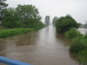 JezowePowodz2010-12.JPG