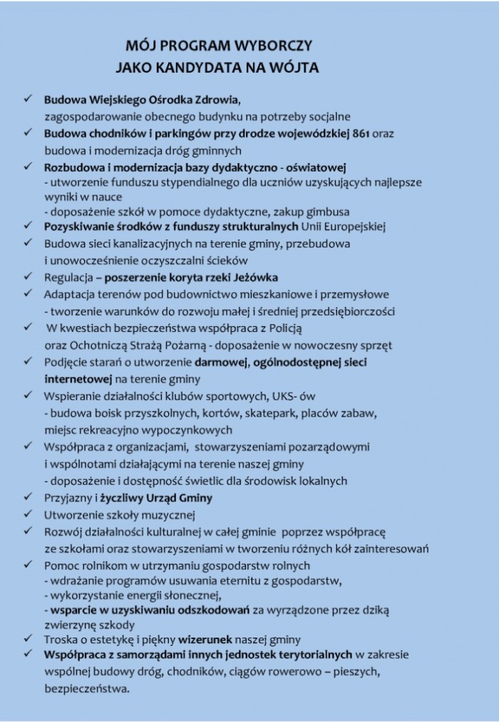 Program wyborczy Marka Stępaka