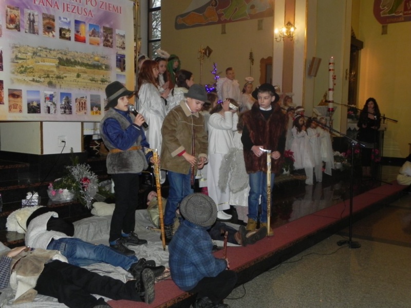 Plik:JaselkaCholewianaGora10.1.2016-6.JPG