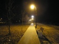 ParkJezowe-14.11.2011-1.JPG