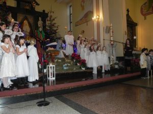 JaselkaCholewianaGora10.1.2016-8.JPG
