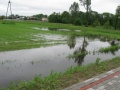 Jezowka2010-15.JPG