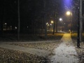 ParkJezowe-14.11.2011-6.JPG