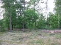 ParkJezowe21.05.2011-6.JPG
