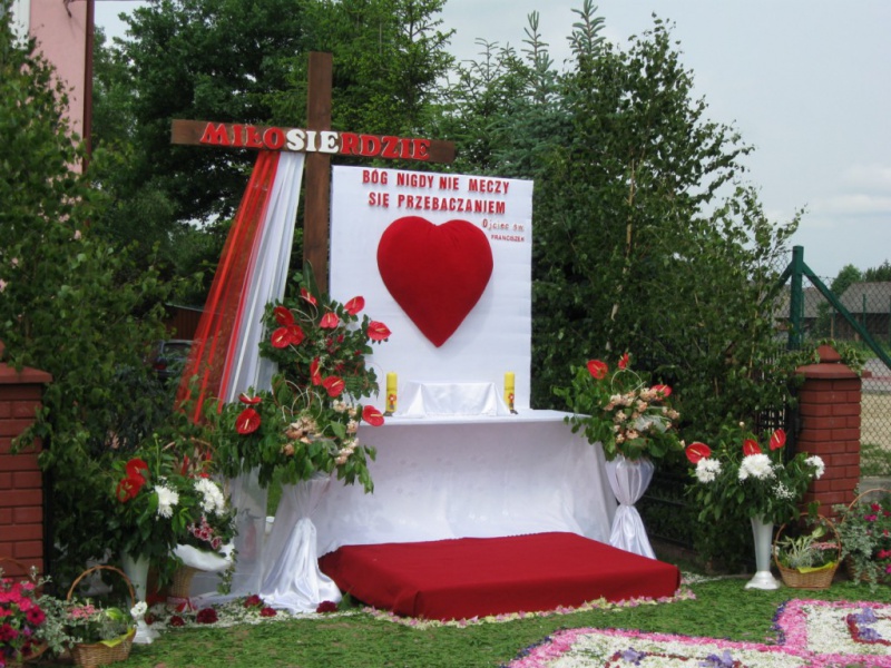 Plik:BC2013-NNMP2.JPG