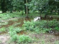 Powodz2011-29.JPG