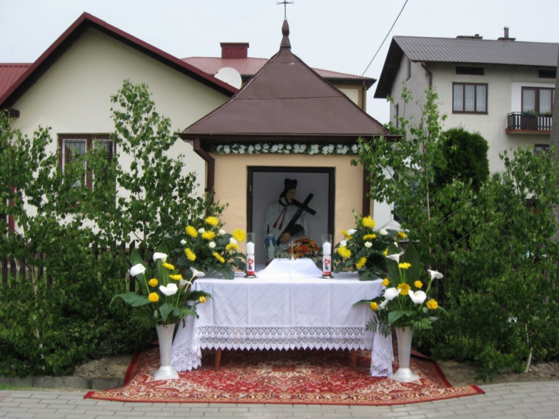 Plik:BC2013-NNMP3.JPG