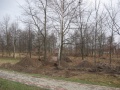 ParkJezowe4-2.4.2011.JPG
