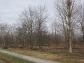 ParkJezowe1-2.4.2011.JPG
